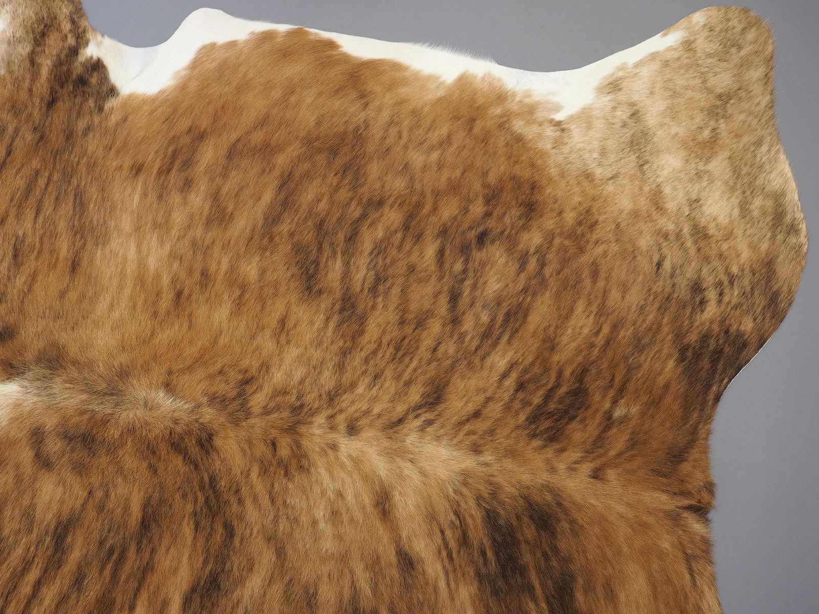 Шкура коровы натуральная арт.: 24445