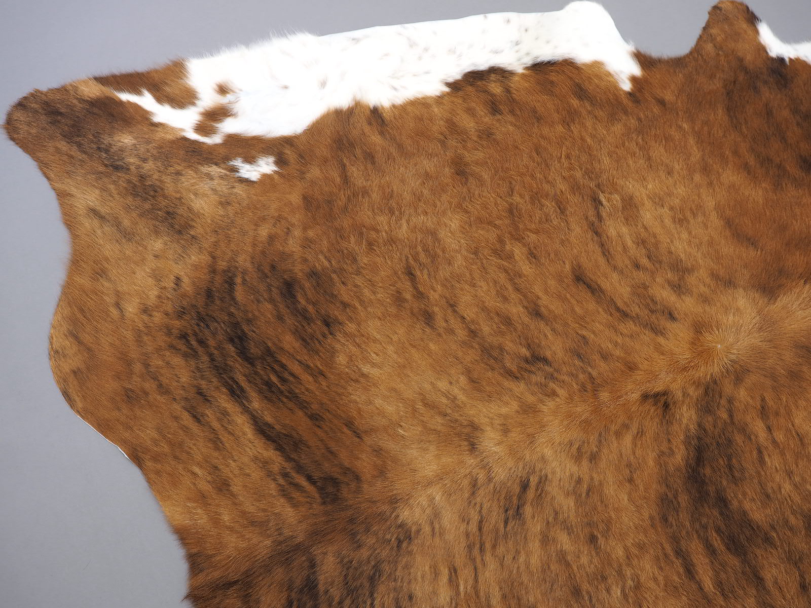 Шкура коровы натуральная экзотическая с белым животом арт.: 24460