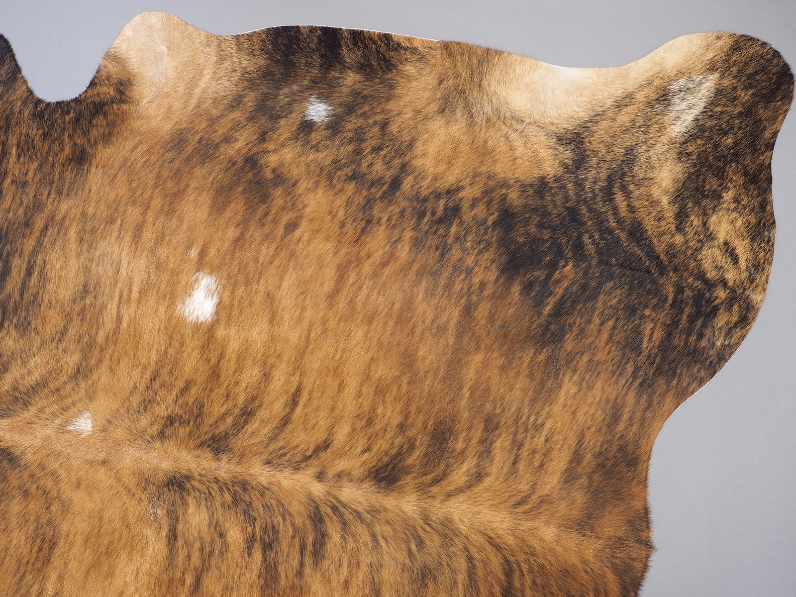 Шкура коровы натуральная тигровая арт.: 24616