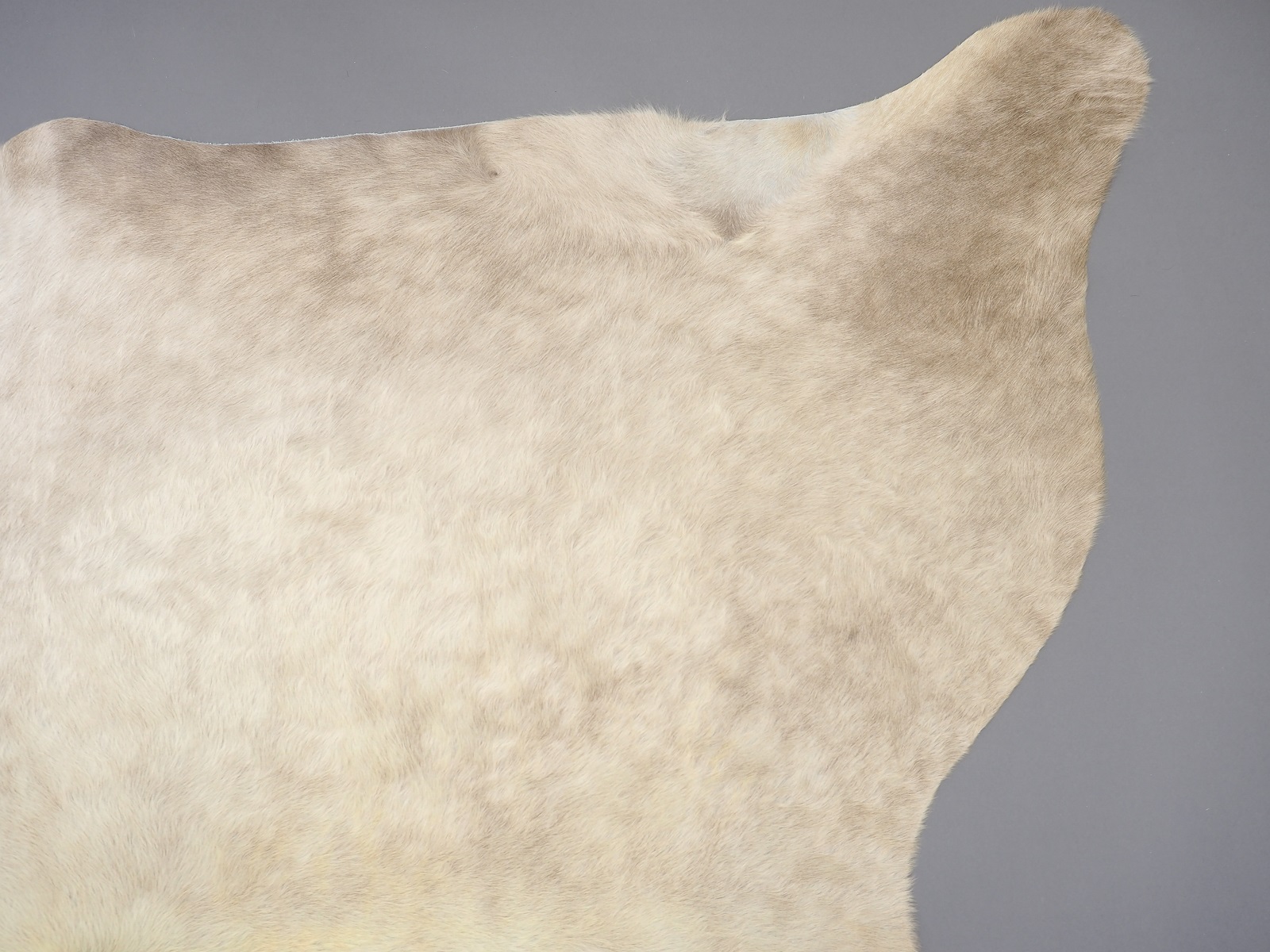 Шкура коровы натуральная цвет шампанского мраморная арт.: 26277