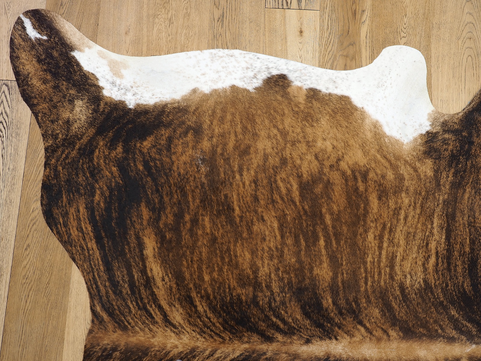 Шкура коровы натуральная с белым животом и холкой арт.: 26308