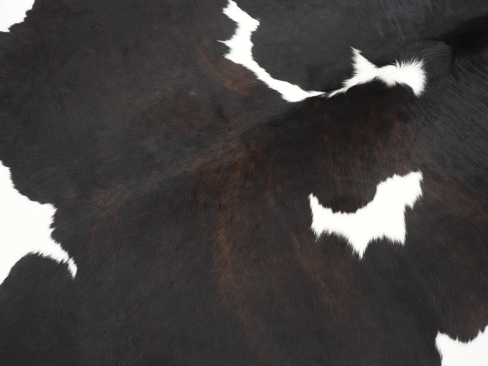Коровья шкура натуральная черно-белая красноватая арт.: 26364 - t26364_03