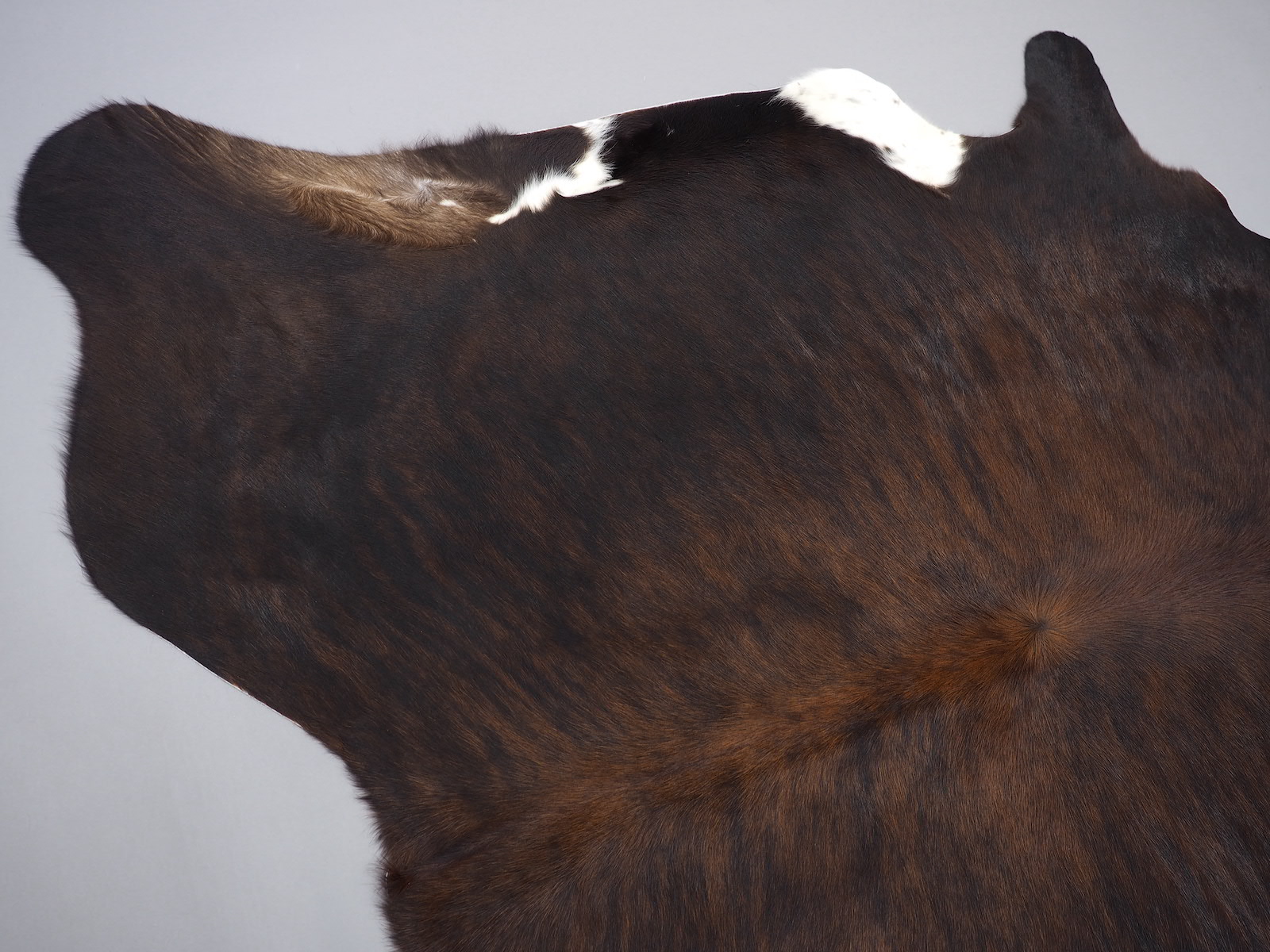 Шкура коровы натуральная темно-тигровая арт.: 26377