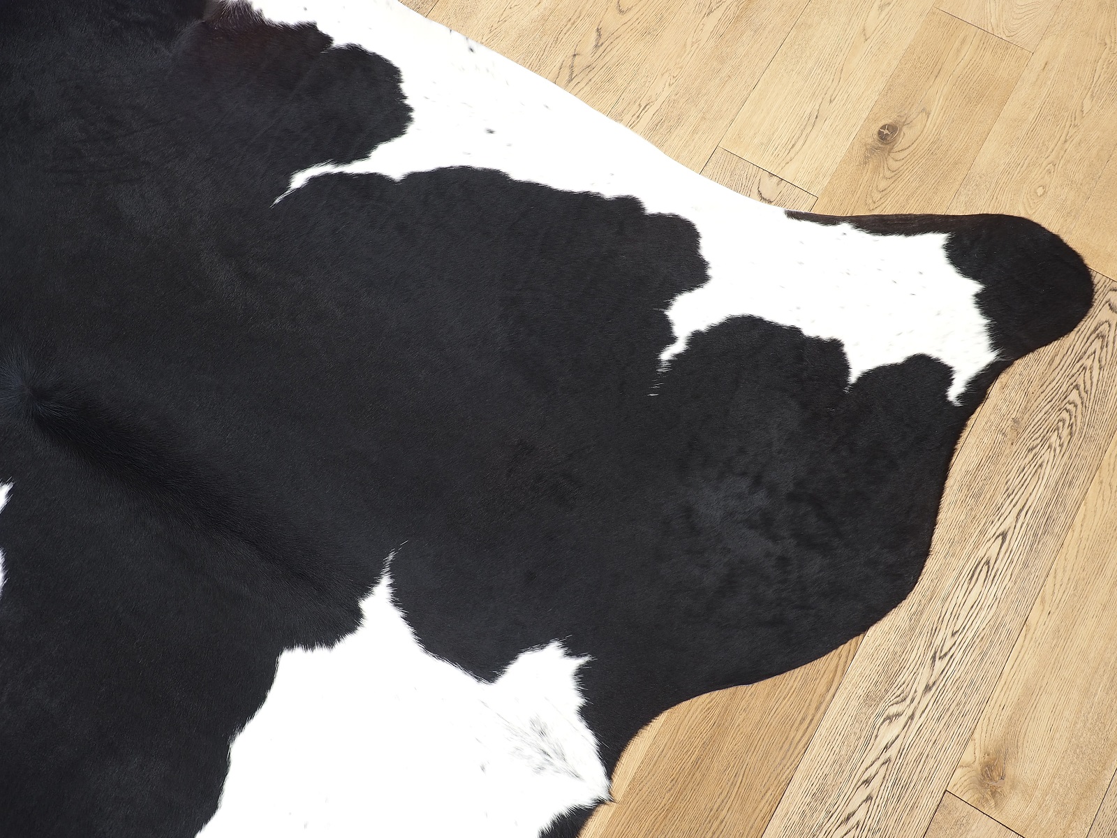 Шкура коровы натуральная черно-белая арт.: 26381