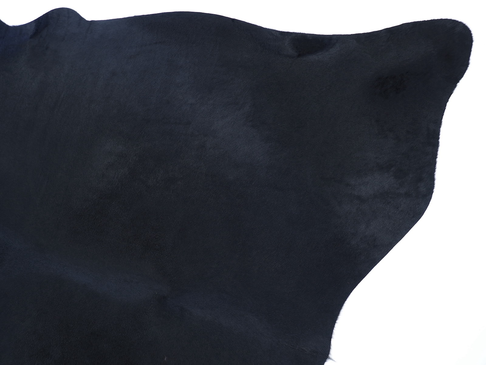 Коровья шкура натуральная окрашена в насыщенно черный арт.: 29045