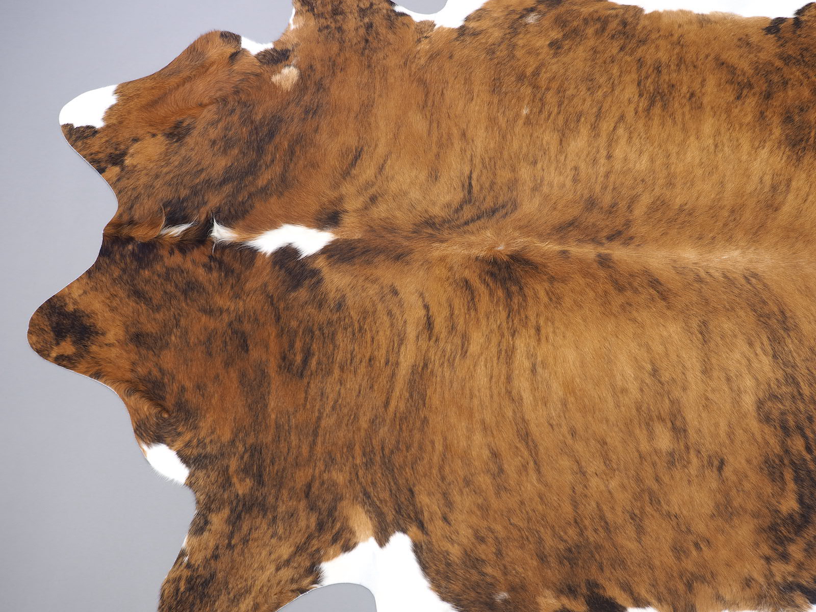 Шкура коровы натуральная тигровый экзотик арт.: 29205