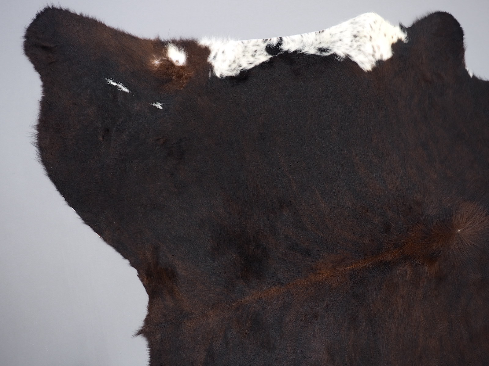 Шкура коровы натуральная темно-тигровая с белым животом арт.: 29225