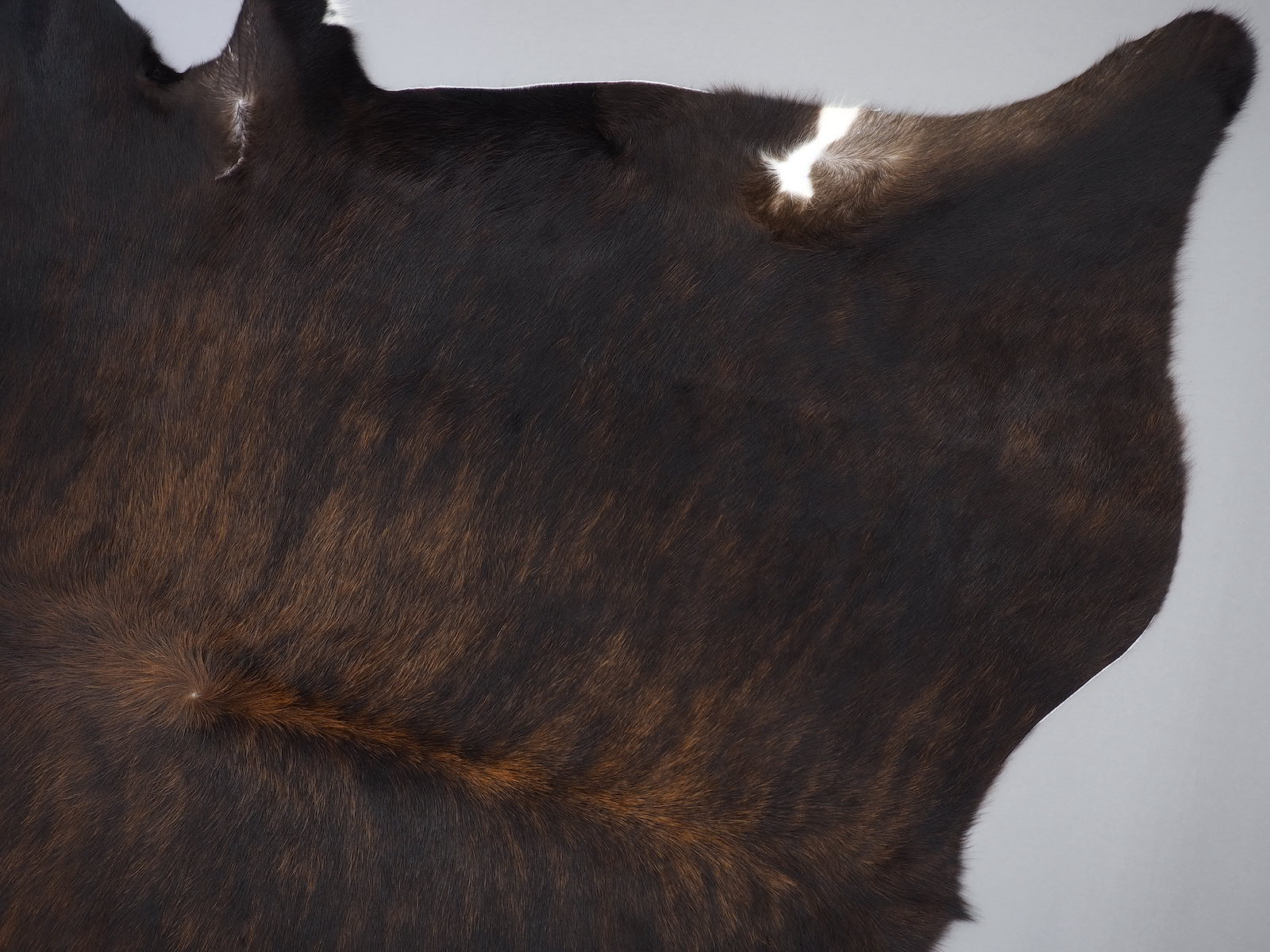 Шкура коровы натуральная насыщено тигровая темная арт.: 29227 - p29227_02