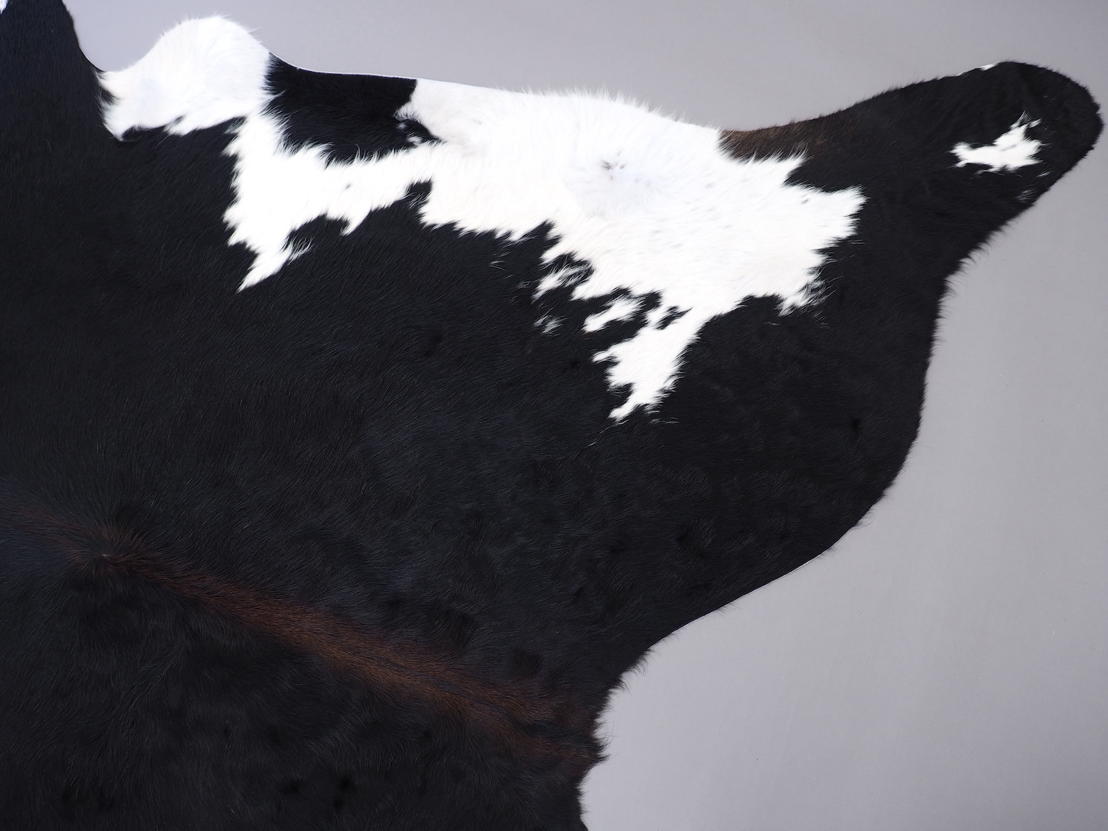 Шкура коровы натуральная черно-белая красноватая арт.: 29236