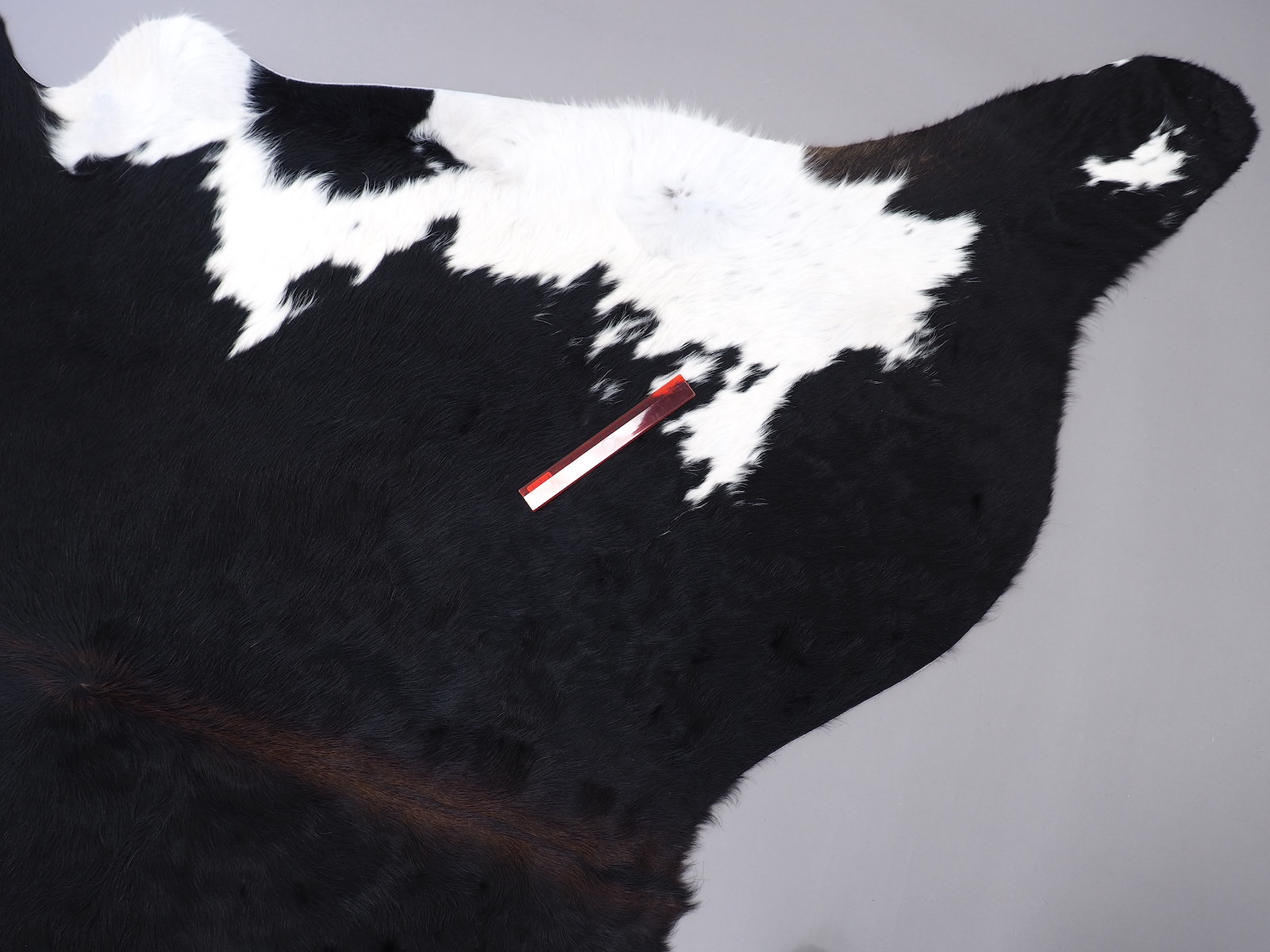 Шкура коровы натуральная черно-белая красноватая арт.: 29236