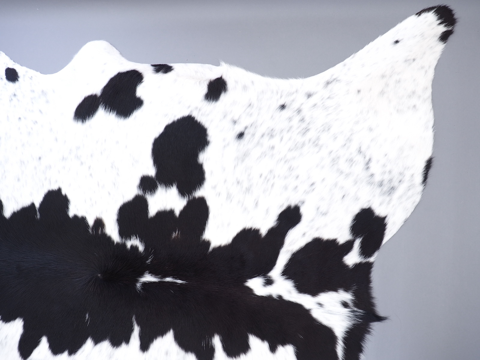 Ковер шкура коровы черно-белая арт.: 29324 - p29324_00