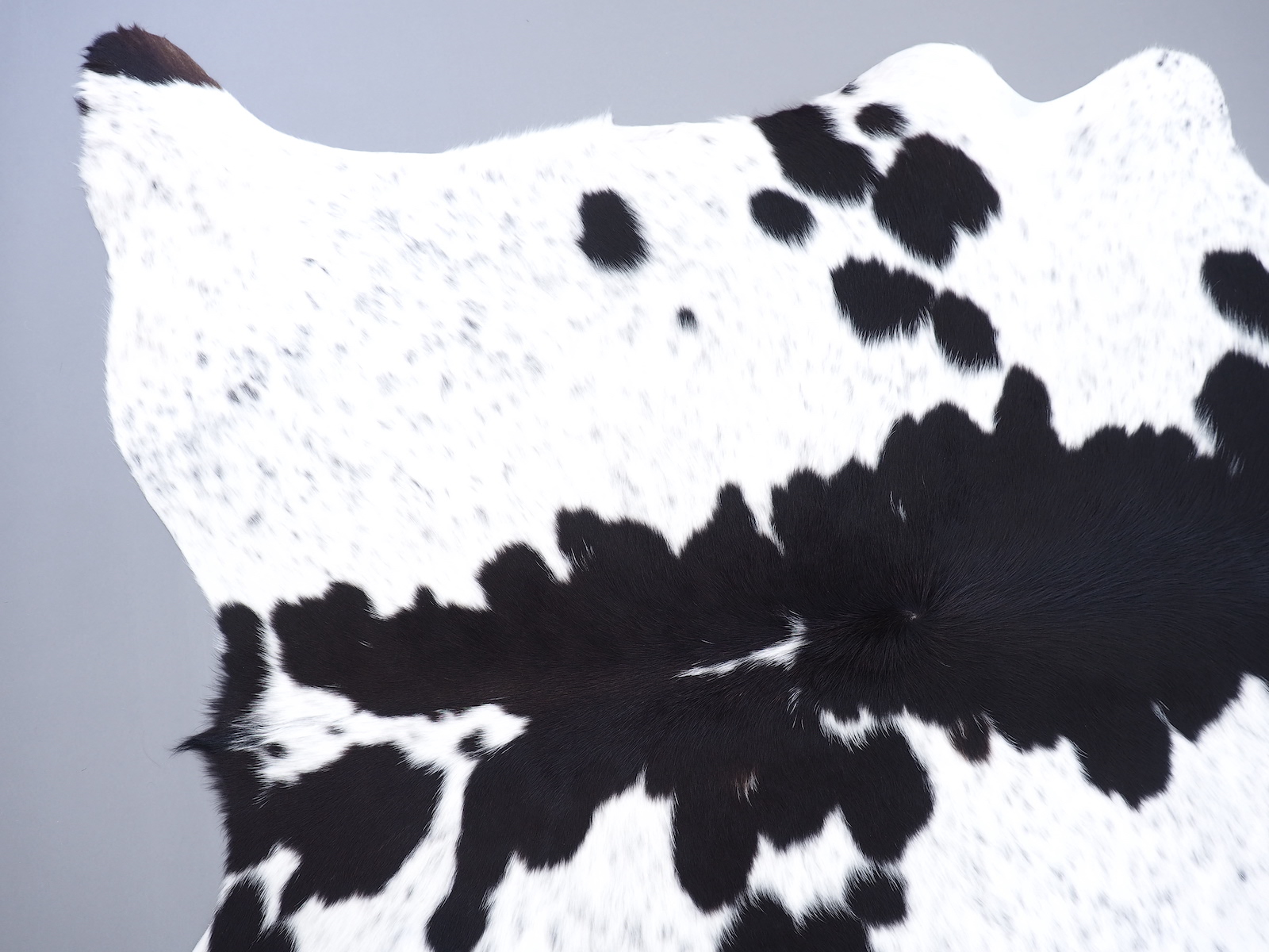 Ковер шкура коровы черно-белая арт.: 29324 - p29324_01