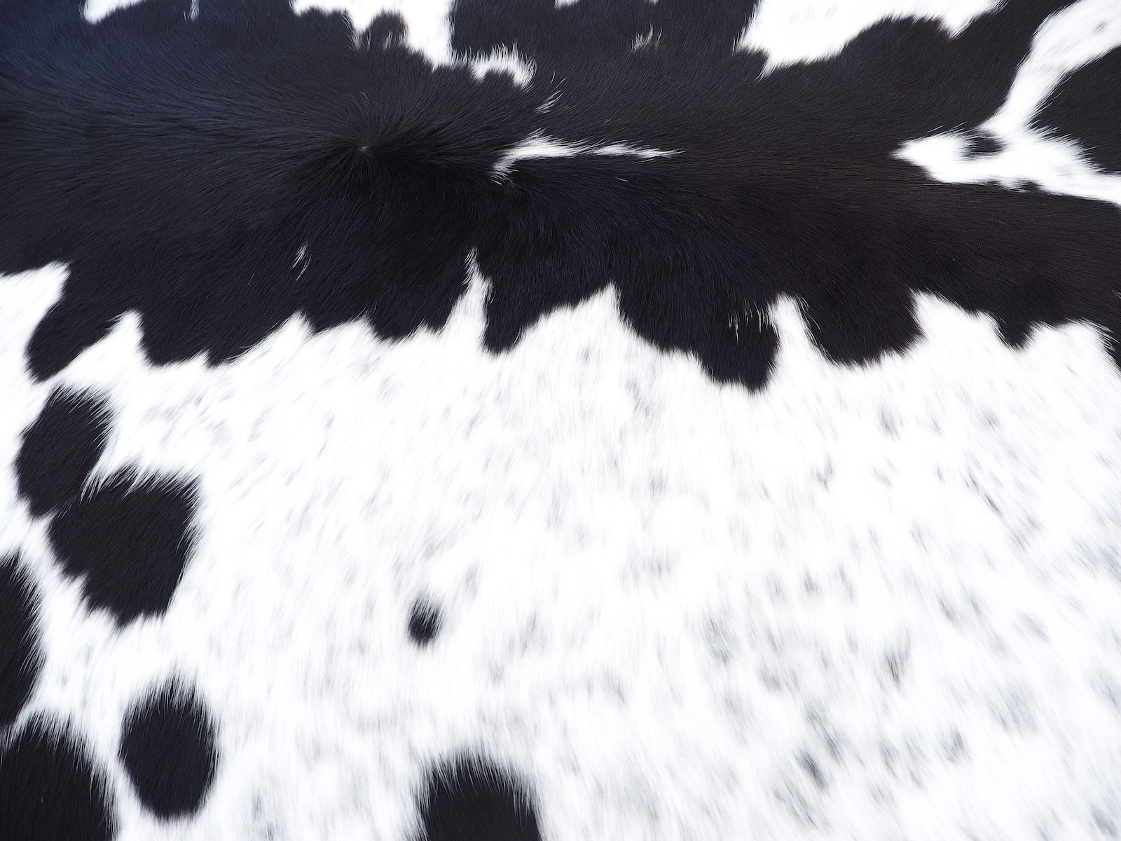 Ковер шкура коровы натуральная черно-белая арт.: 29324