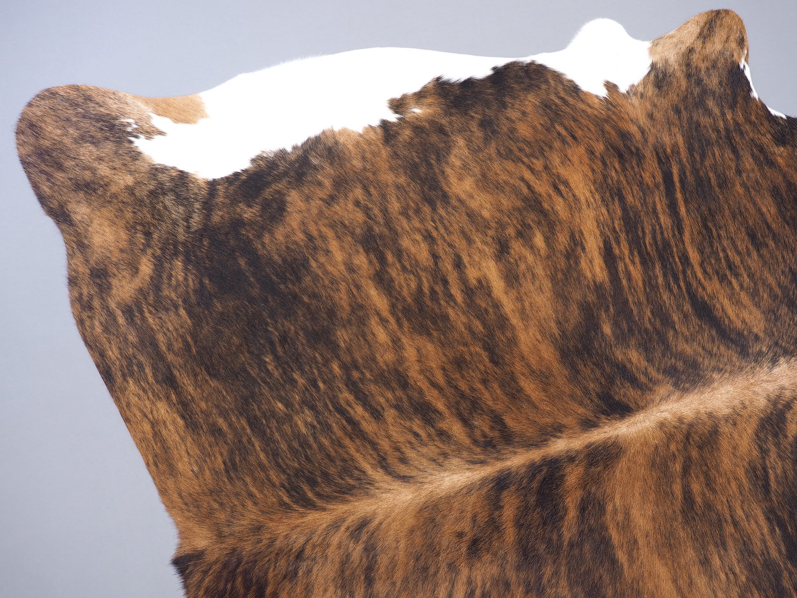 Шкура коровы натуральная тигровая с белым животом арт.: 29336 - p29336_01