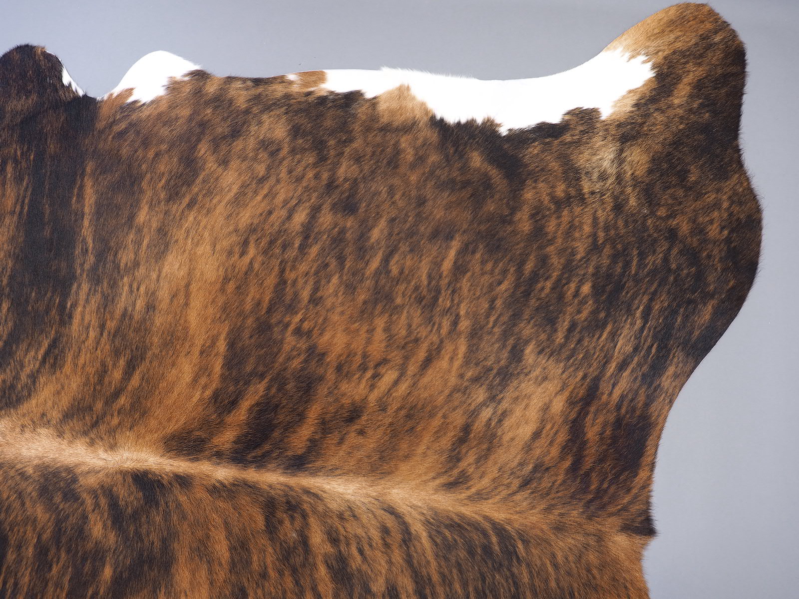 Шкура коровы натуральная тигровая с белым животом арт.: 29336