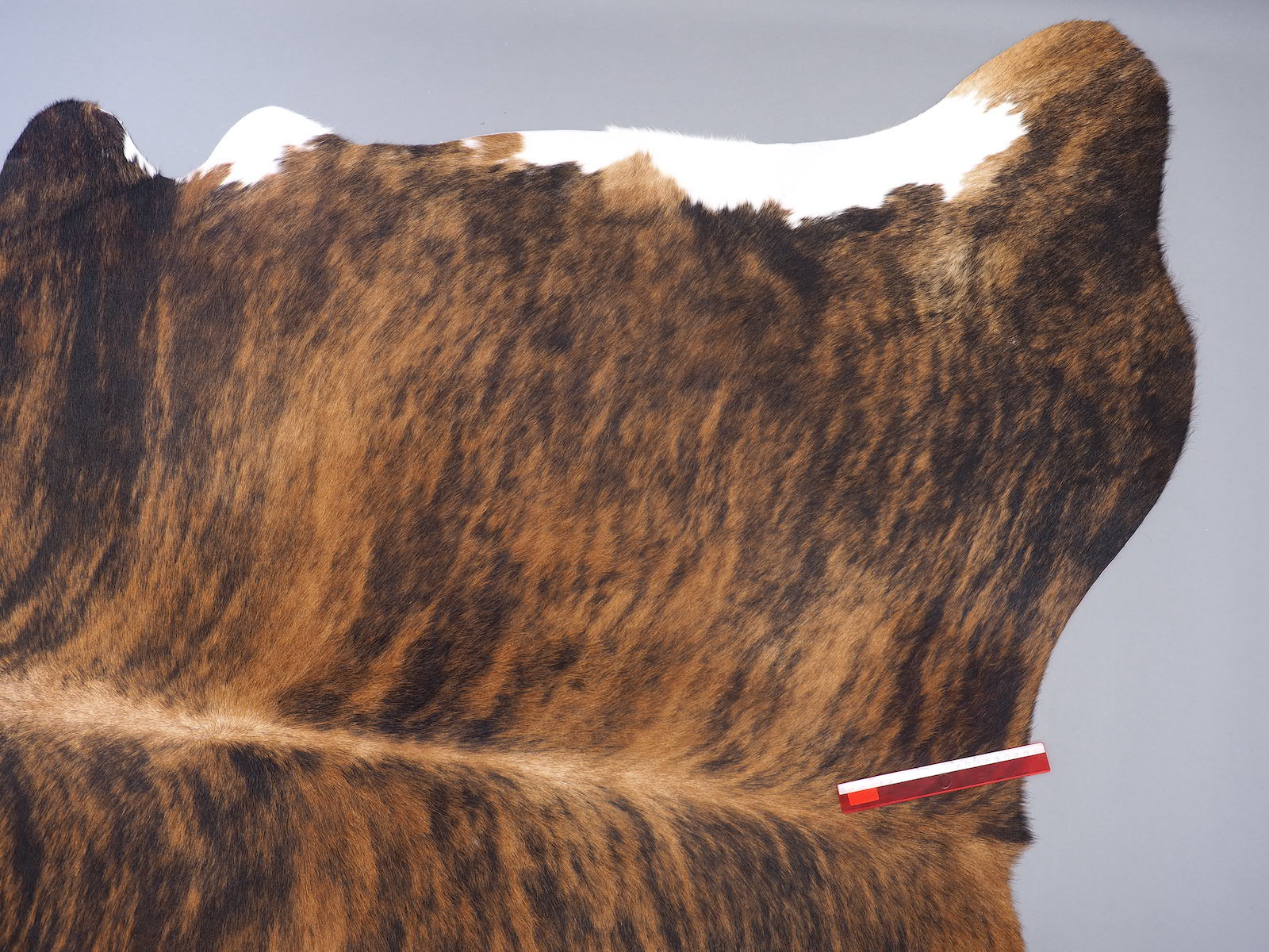 Шкура коровы натуральная тигровая с белым животом арт.: 29336