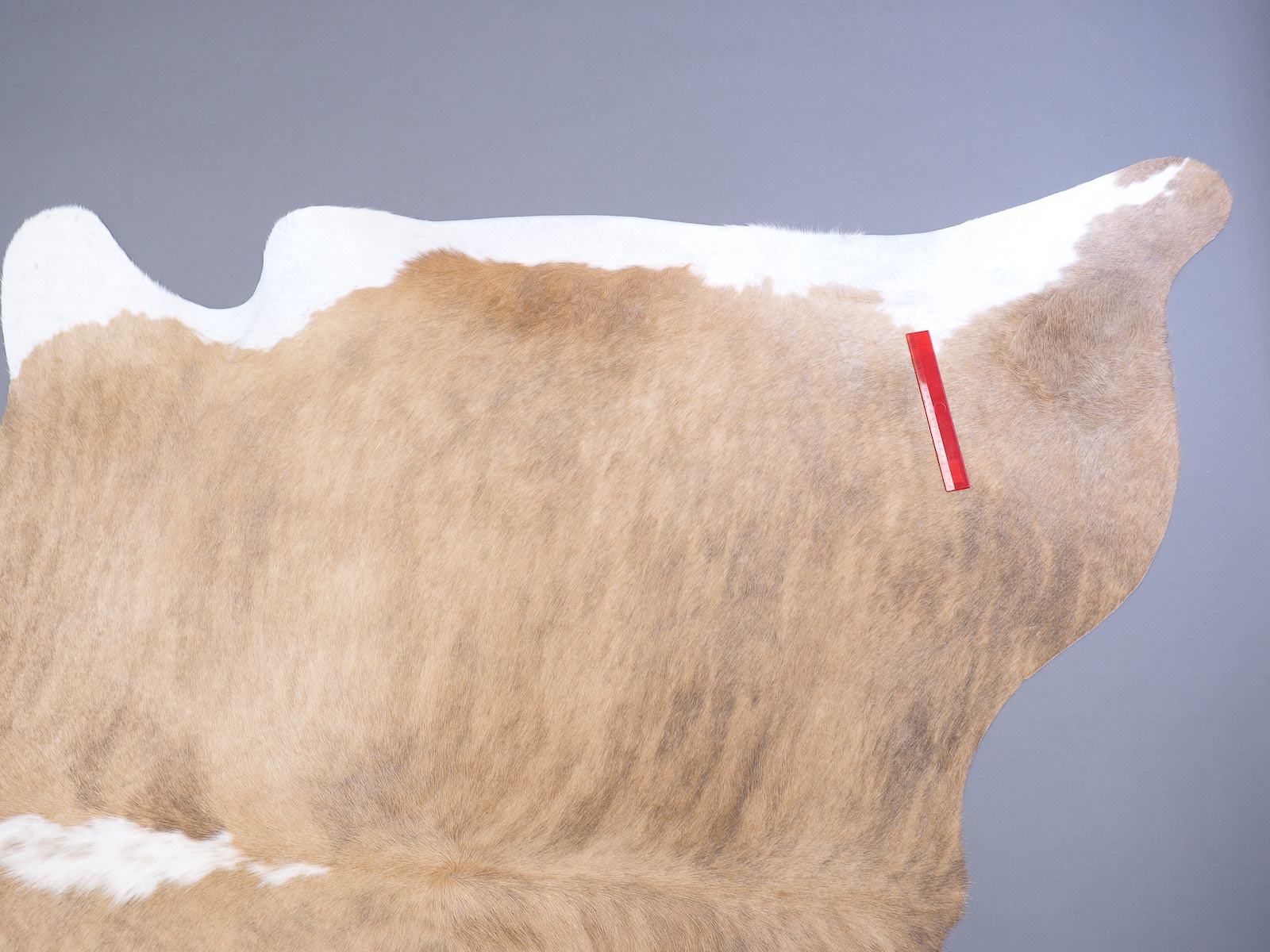 Коровья шкура натуральная бежево-белая арт.: 29337