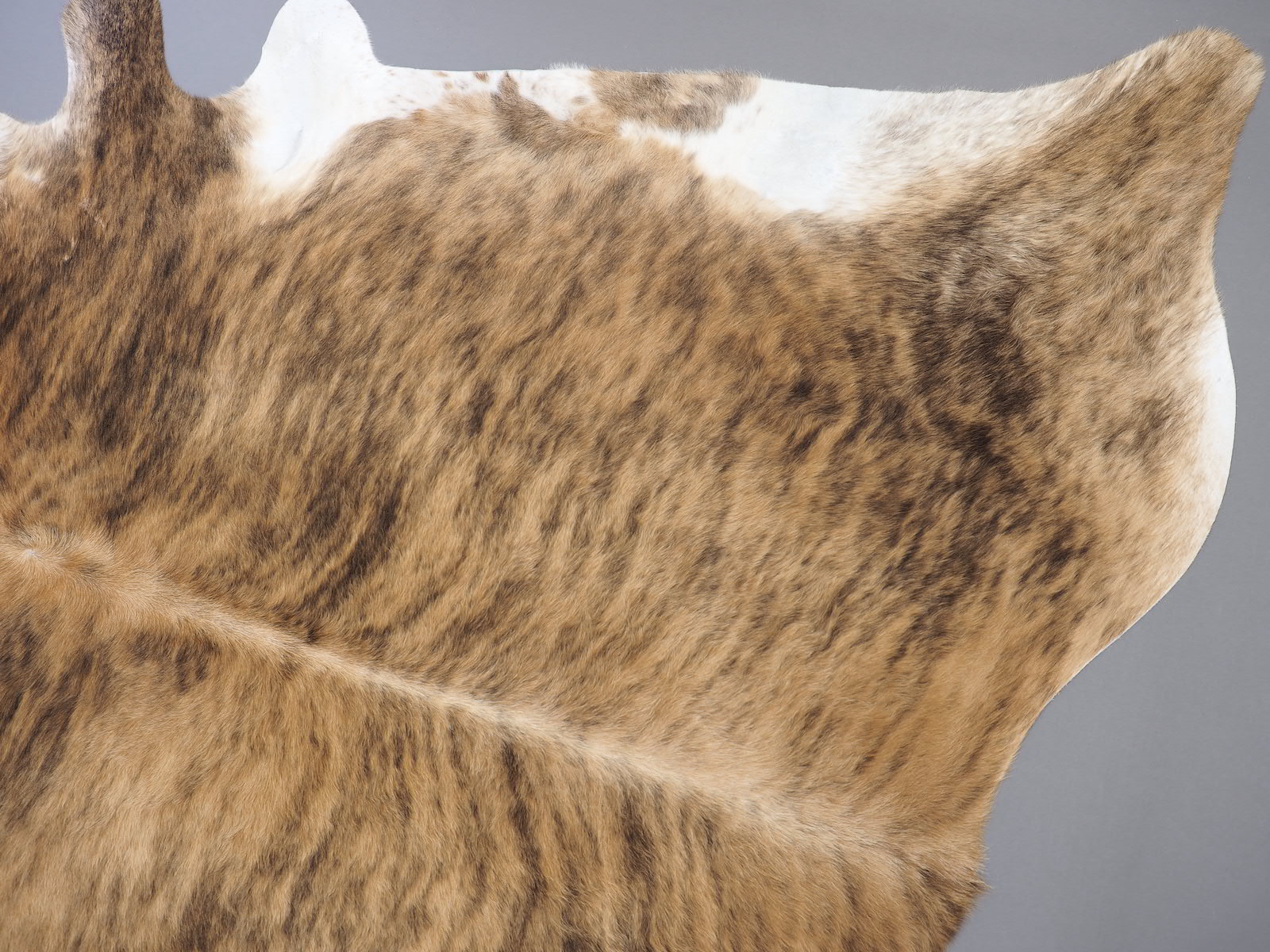 Шкура коровы натуральная тигровая с белым животом арт.: 29339