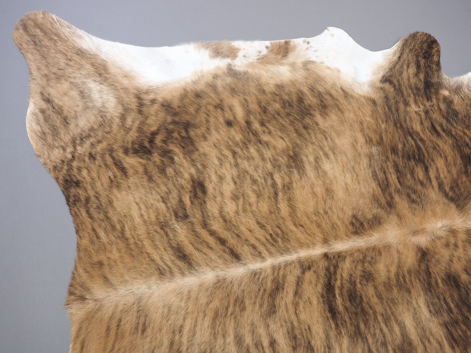 Шкура коровы натуральная тигровая с белым животом арт.: 29339