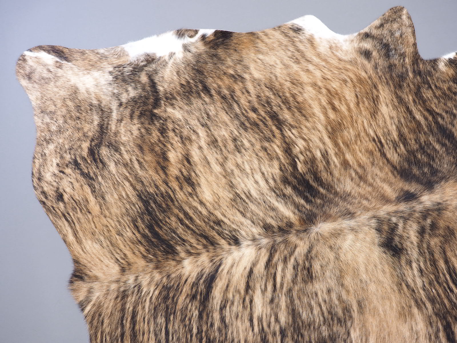 Шкура коровы натуральная тигровая арт.: 29350