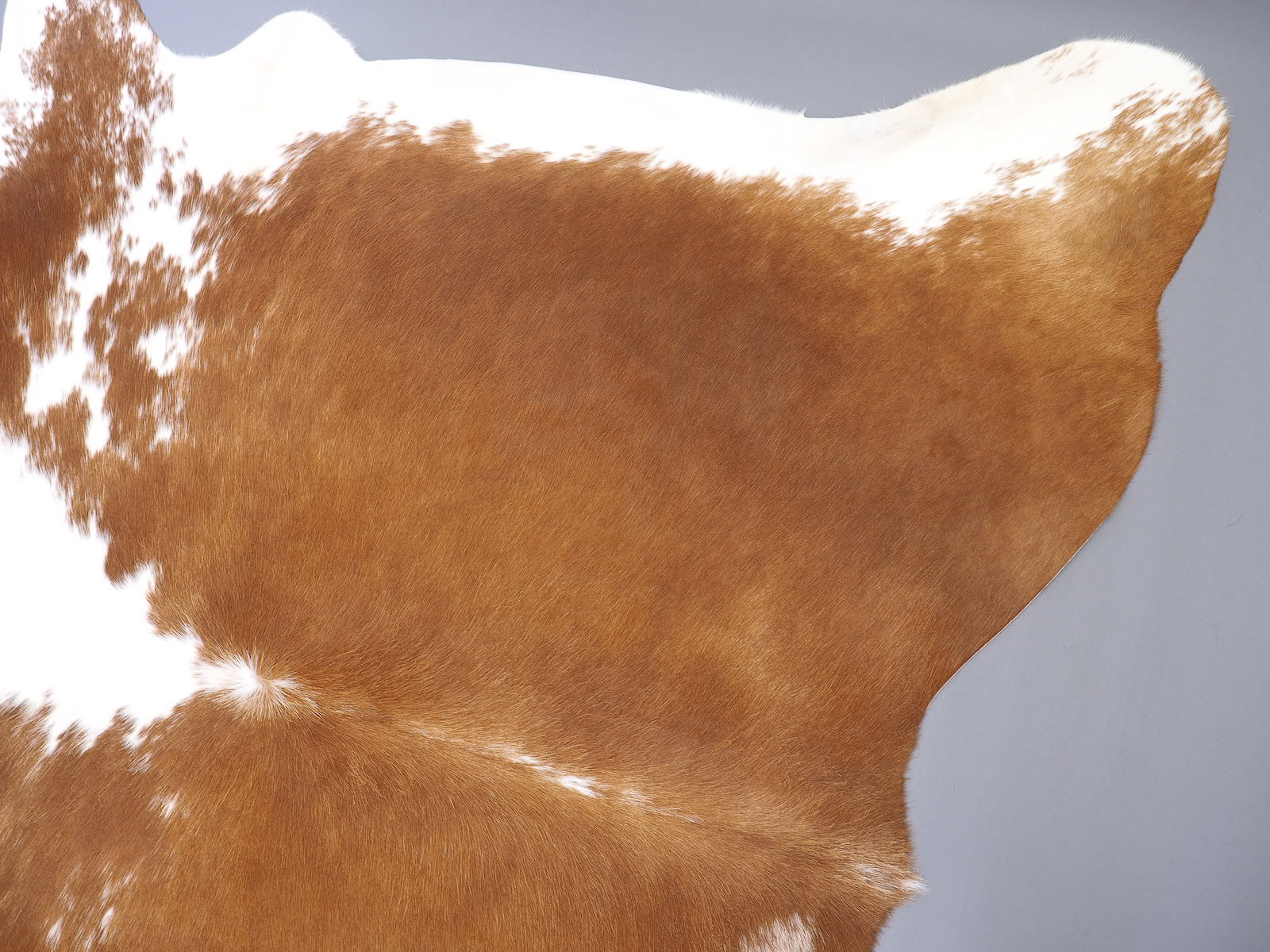 Ковер шкура коровы натуральная коричнево-белая арт.: 29366