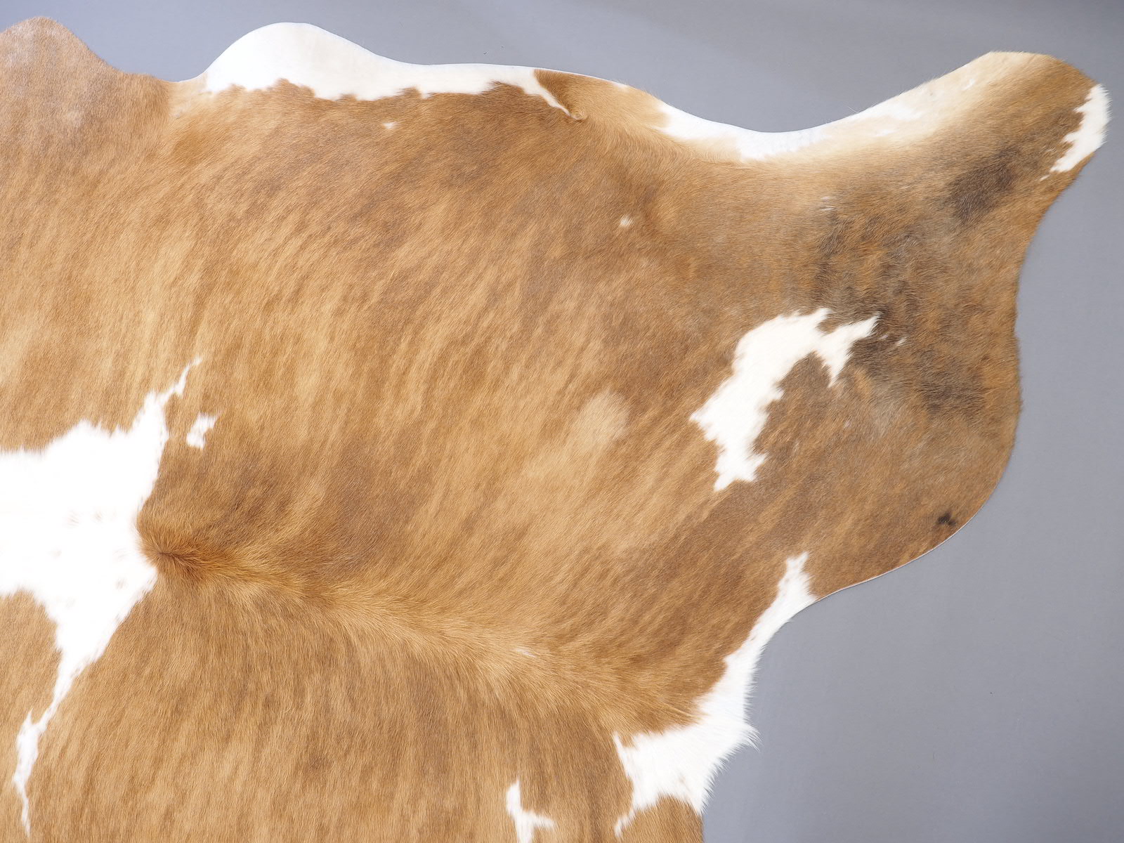 Шкура коровы натуральная бежево-белая арт.: 29371