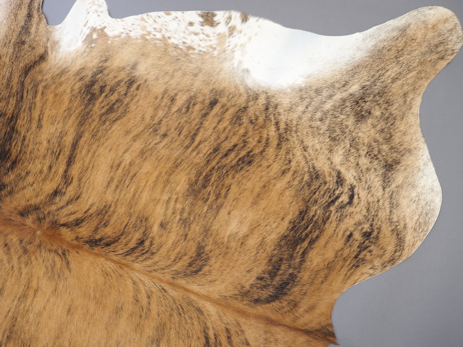 Шкура коровы натуральная тигровая светлая арт.: 29397