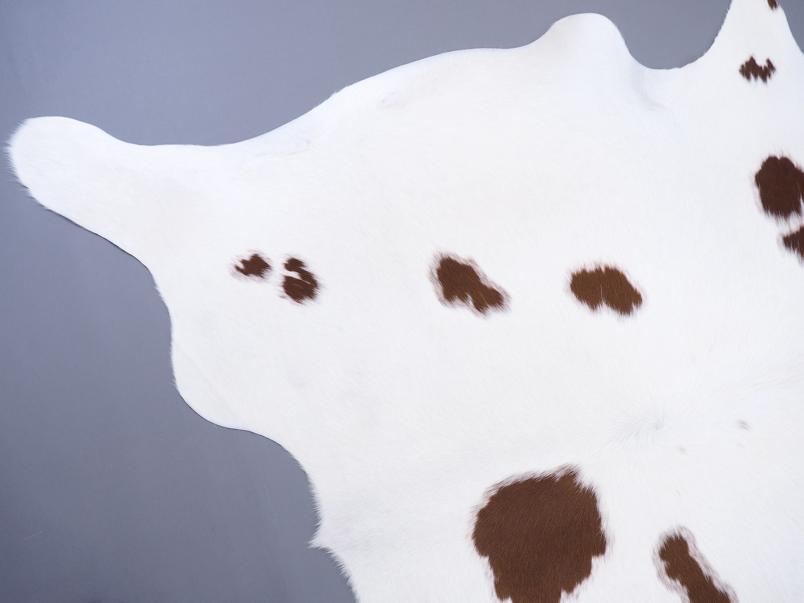 Коровья шкура натуральная коричнево-белая арт.: 29398