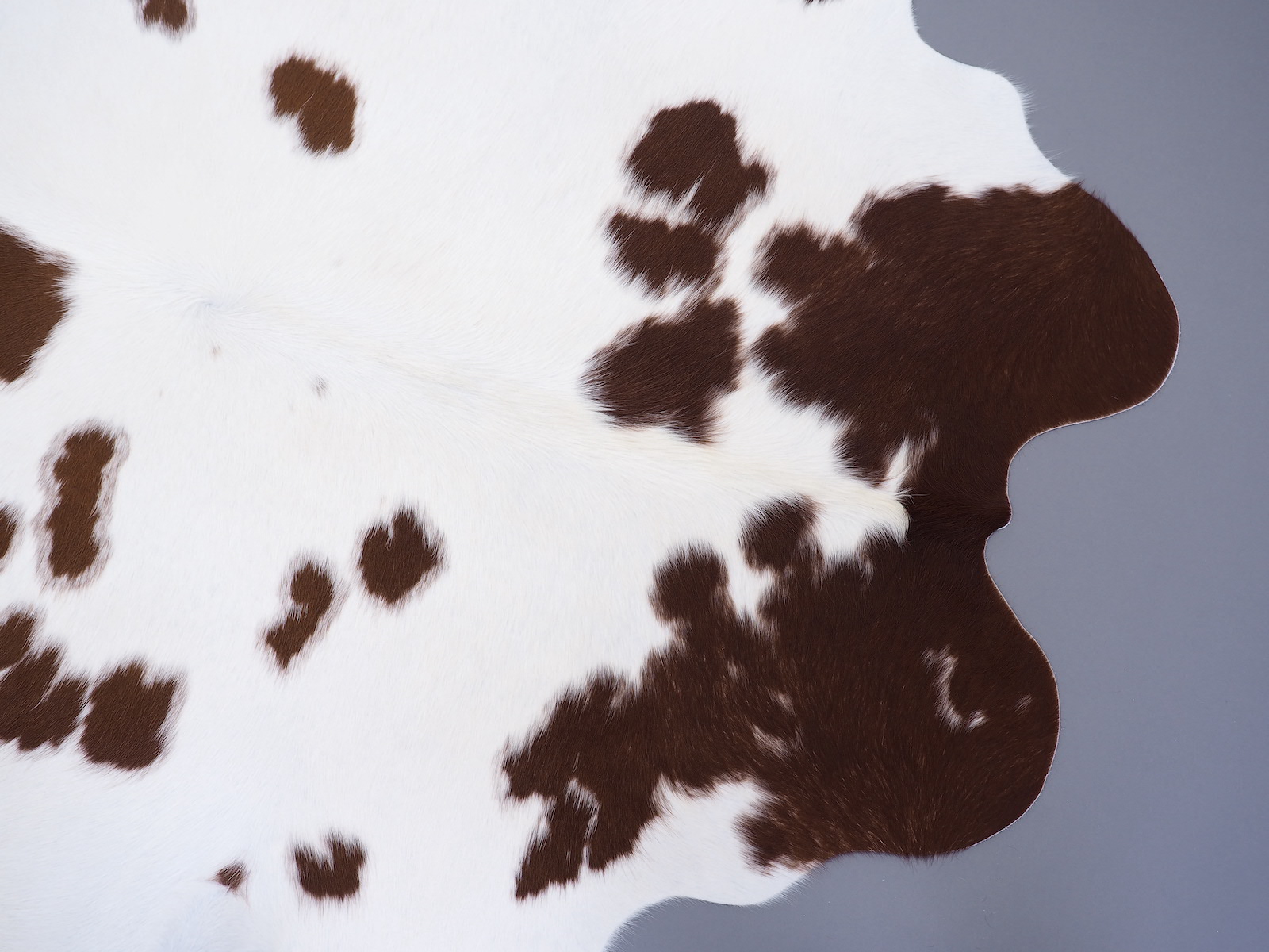 Коровья шкура натуральная коричнево-белая арт.: 29398