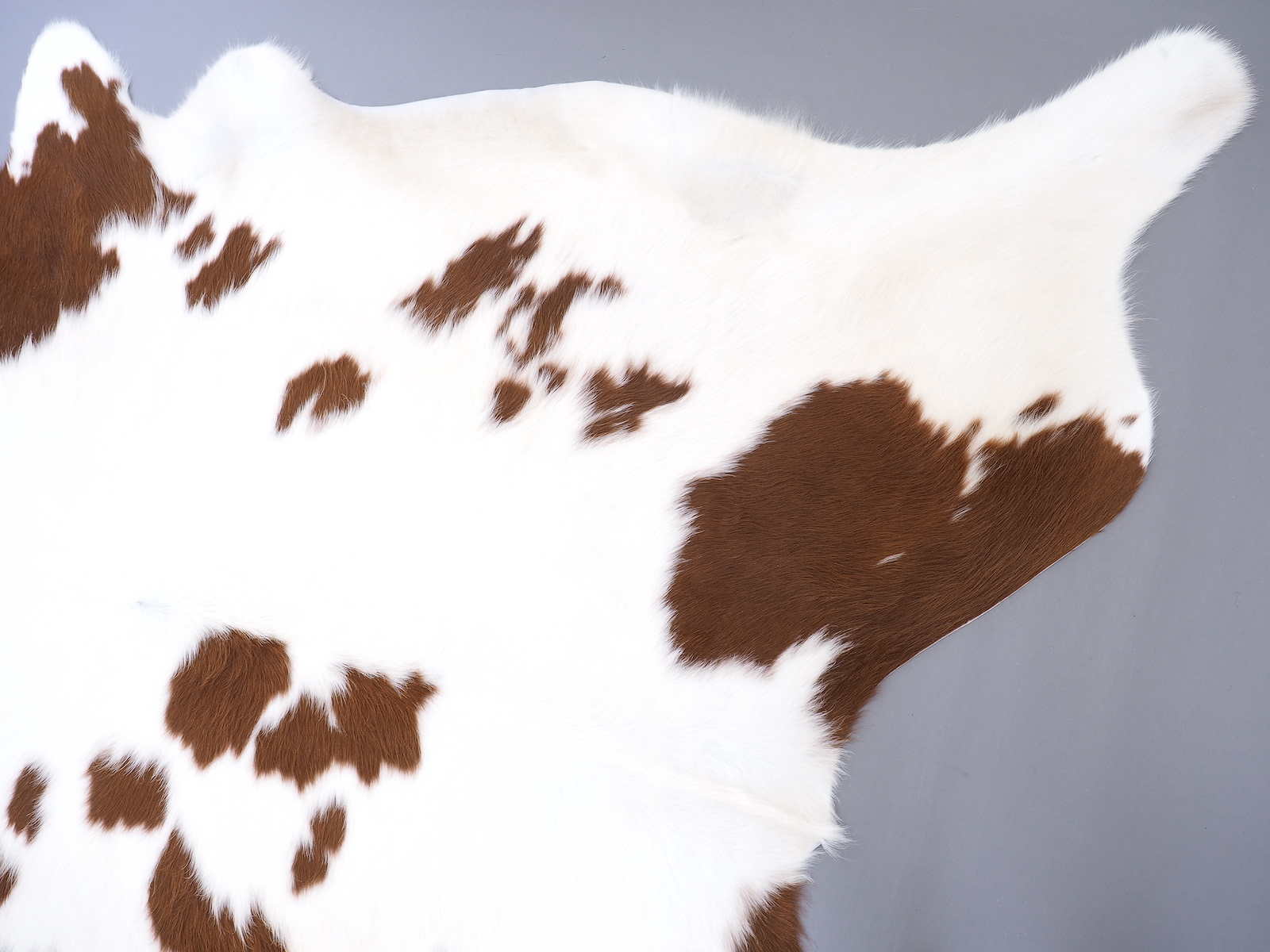 Шкура коровы натуральная коричнево-белая арт.: 29399