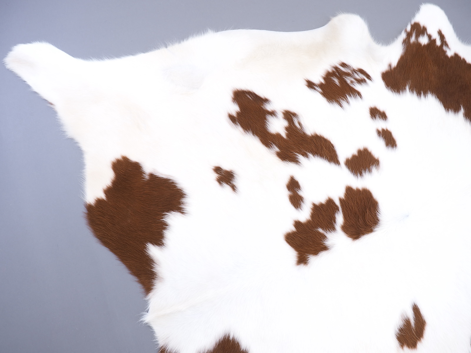 Шкура коровы натуральная коричнево-белая арт.: 29399