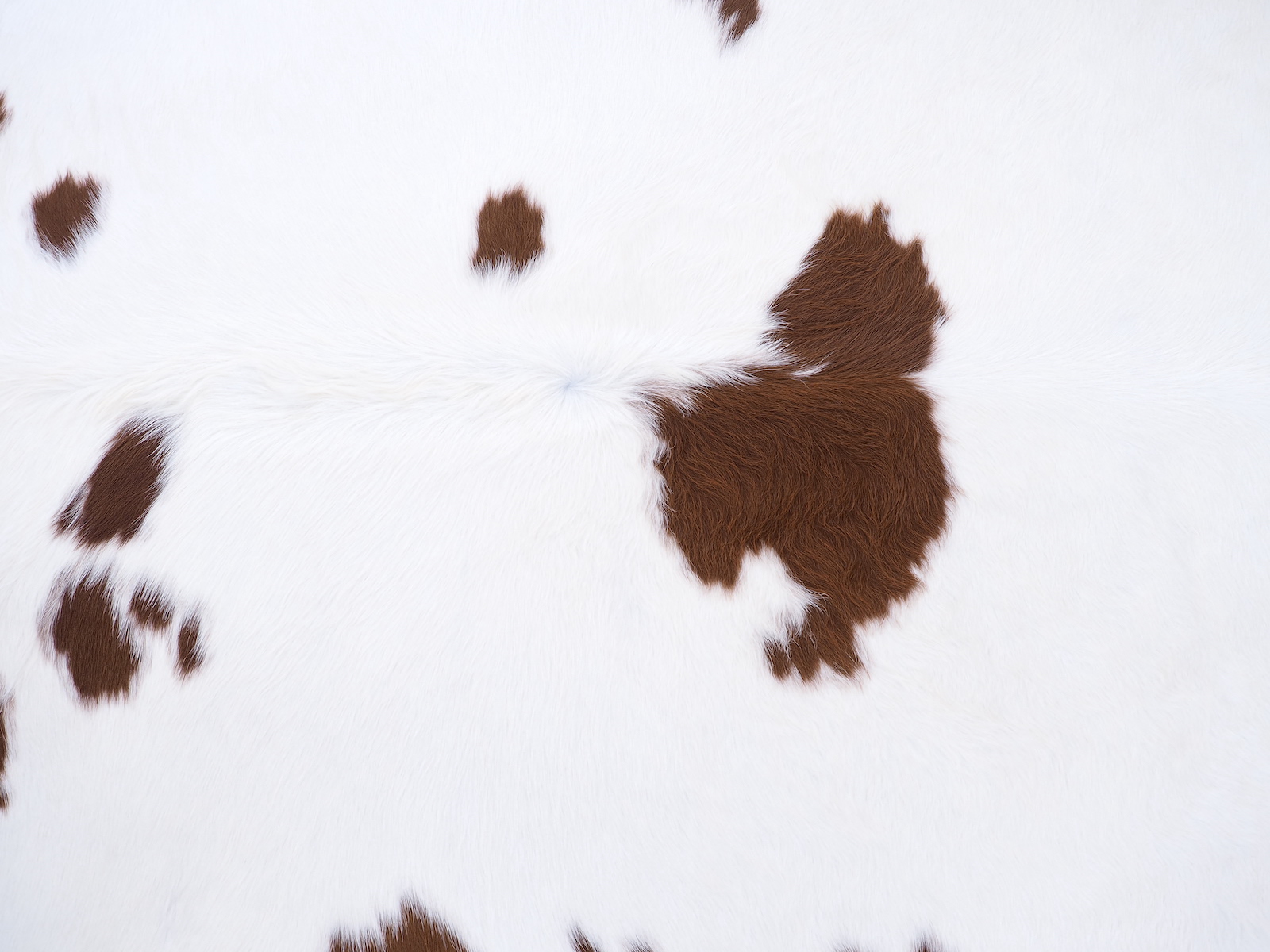 Коровья шкура — Шкура коровы натуральная коричнево-белая арт.: 29400