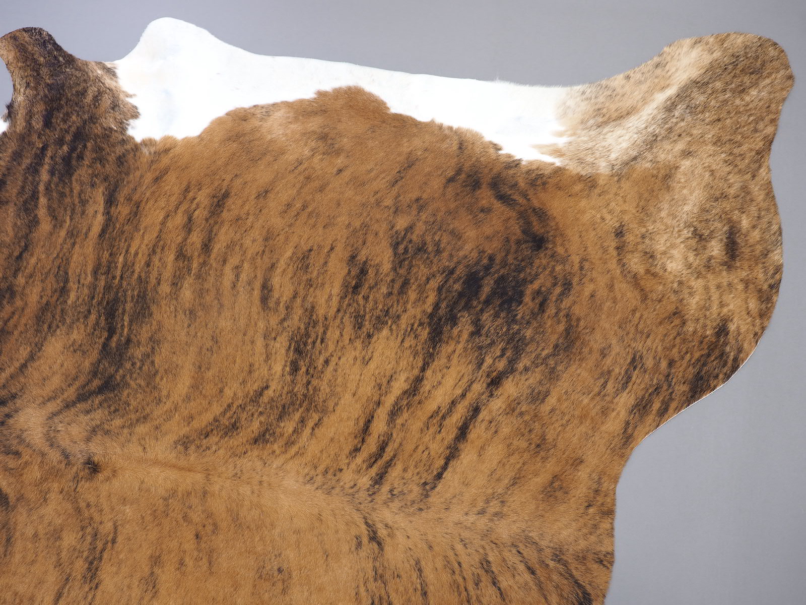 Шкура коровы натуральная экзотическая с белым животом арт.: 29404