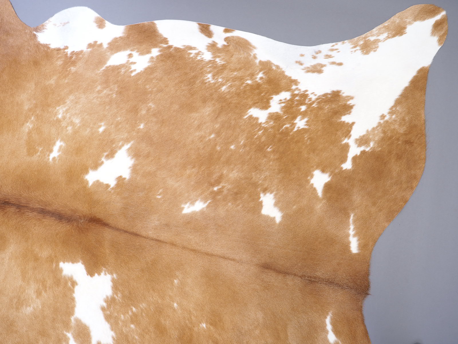 Шкура коровы натуральная бежево-белая арт.: 29421