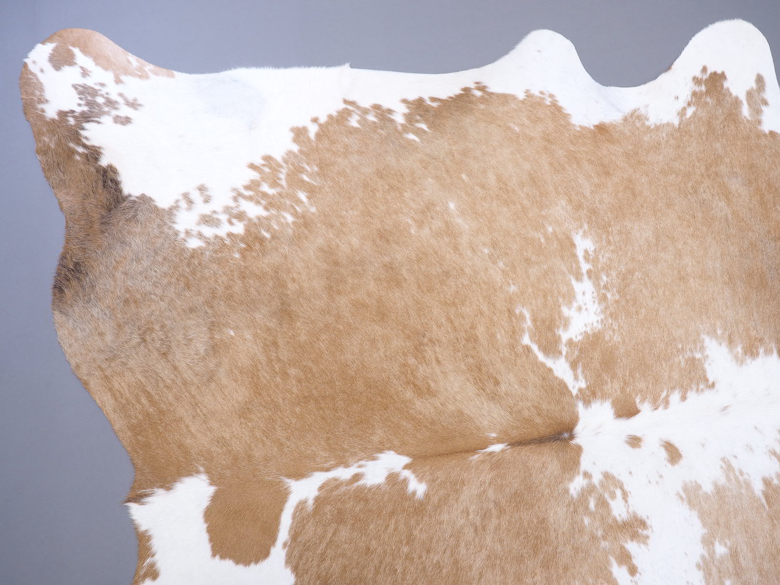 Шкура коровы натуральная бежево-белая арт.: 29422