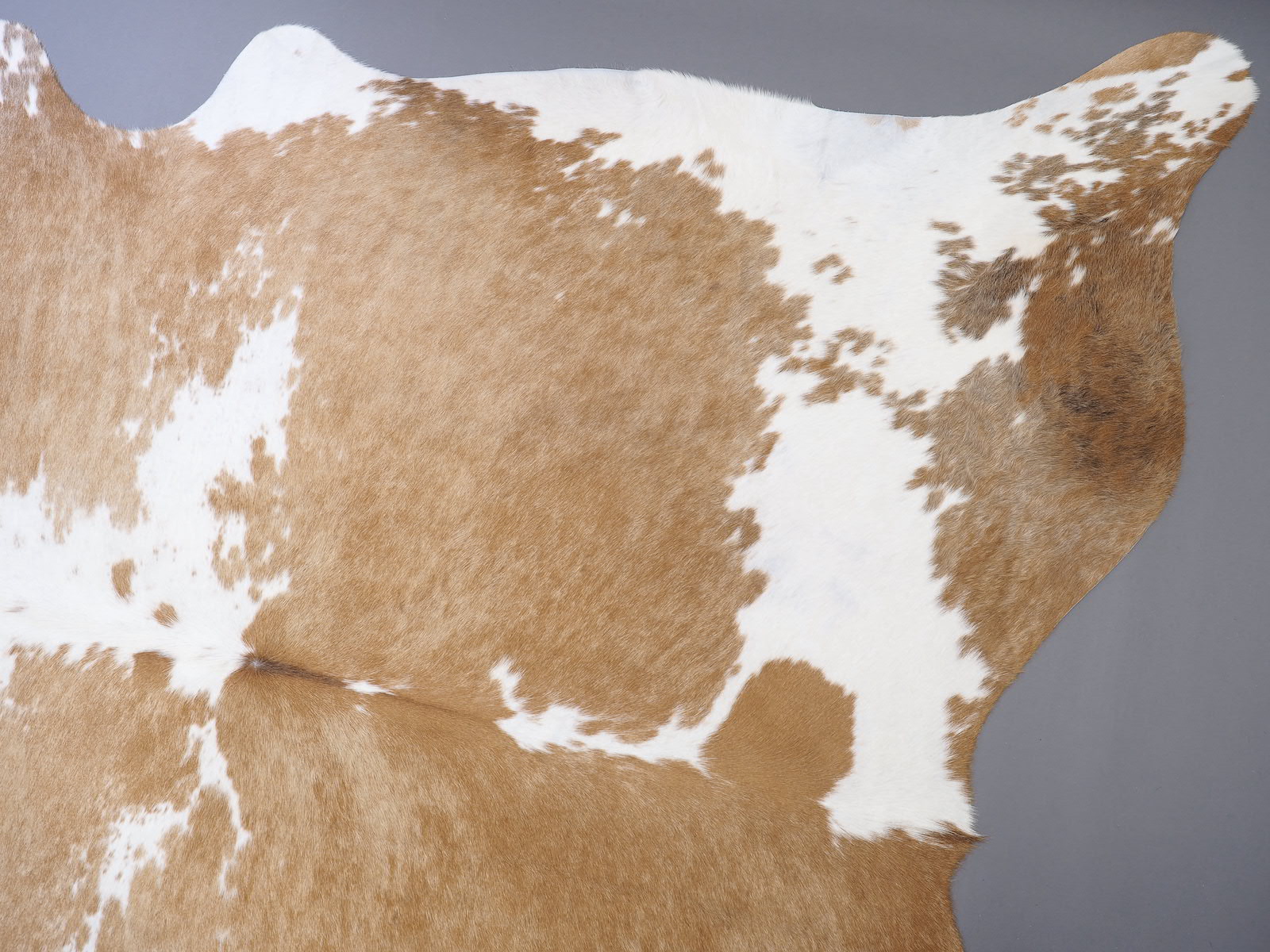 Шкура коровы натуральная бежево-белая арт.: 29422