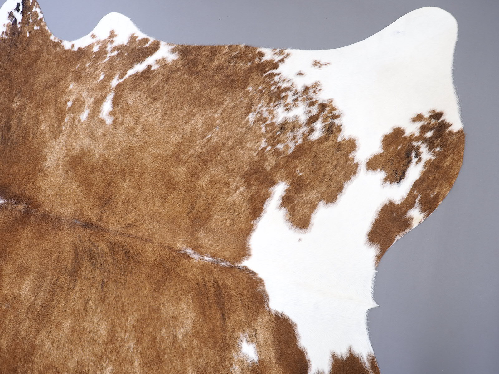 Шкура коровы натуральная Герефорд арт.: 29423