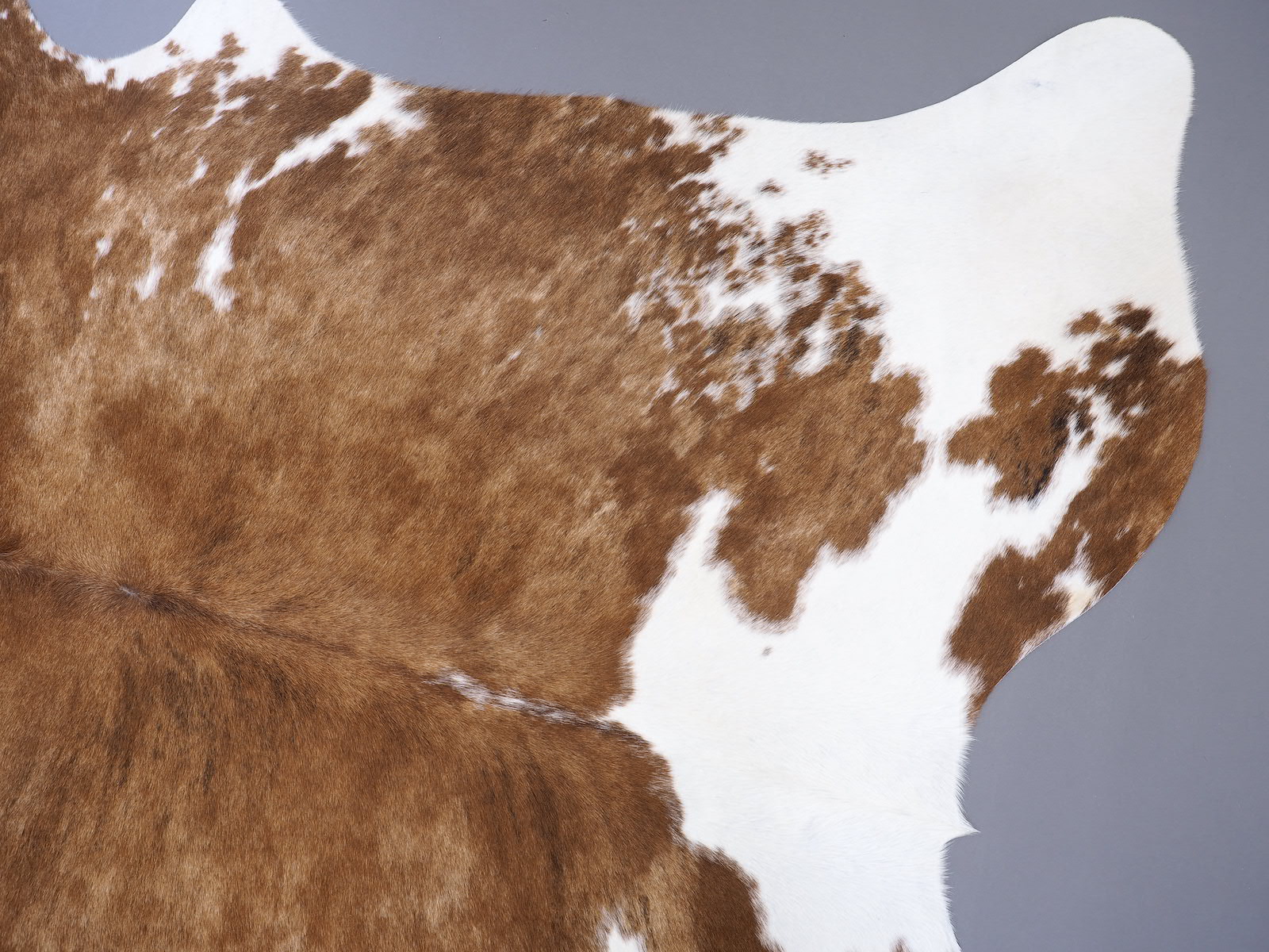 Шкура коровы натуральная Герефорд арт.: 29423