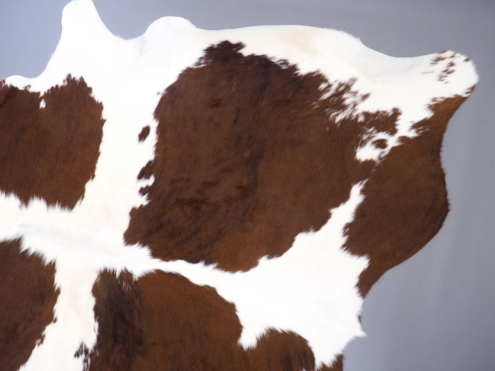 Шкура коровы натуральная коричнево-белая арт.: 29448