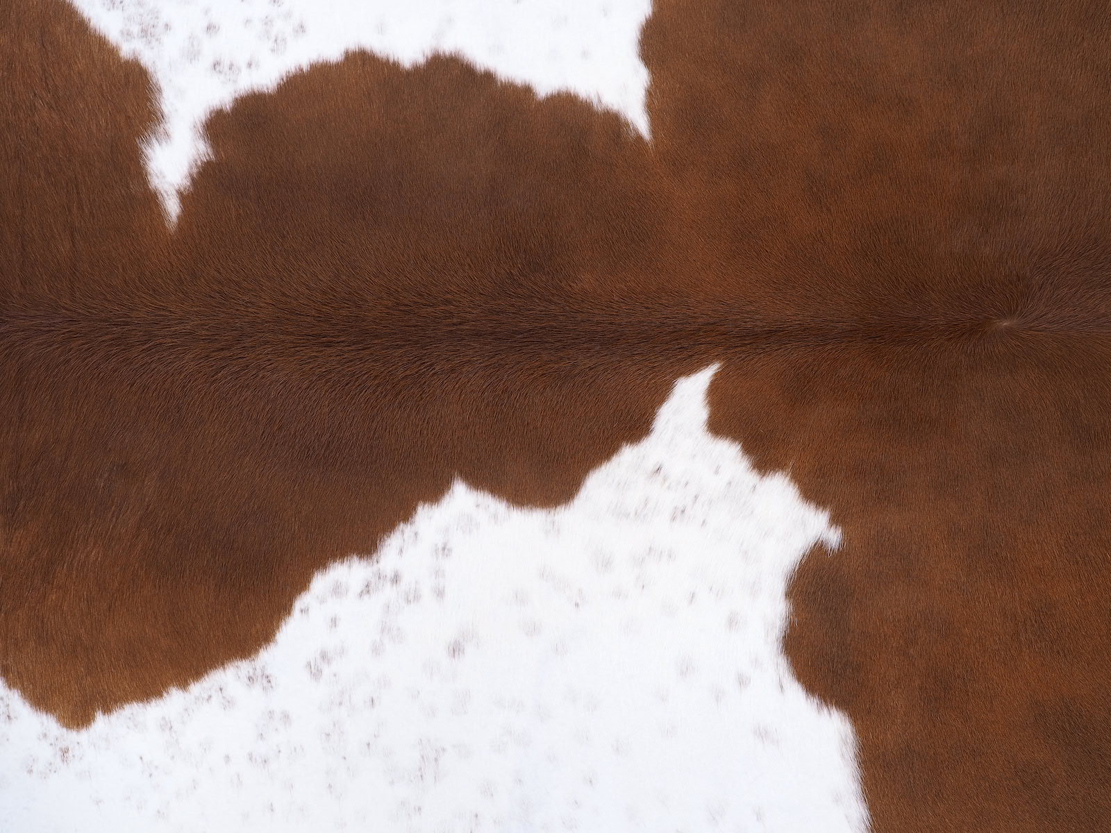 Шкура коровы натуральная коричнево-белая арт.: 29452