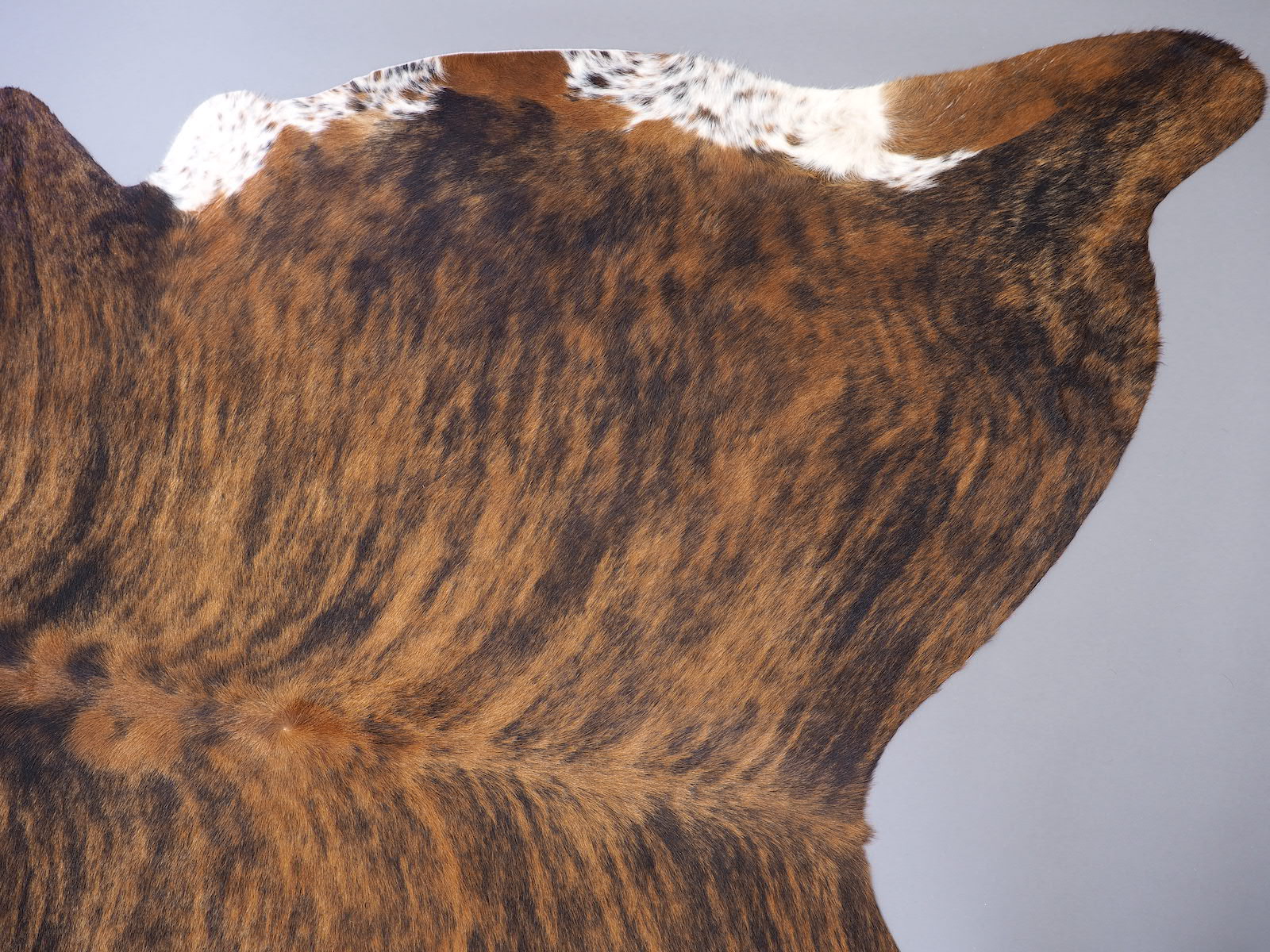 Шкура коровы натуральная тигровая арт.: 29459