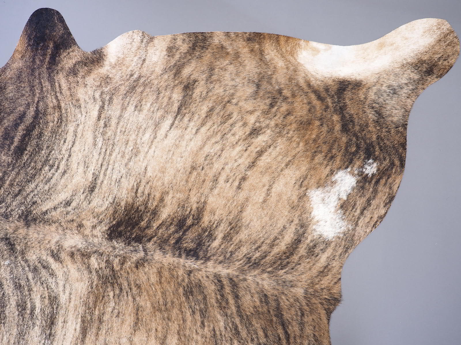 Шкура коровы натуральная насыщенно-тигровая арт.: 29465
