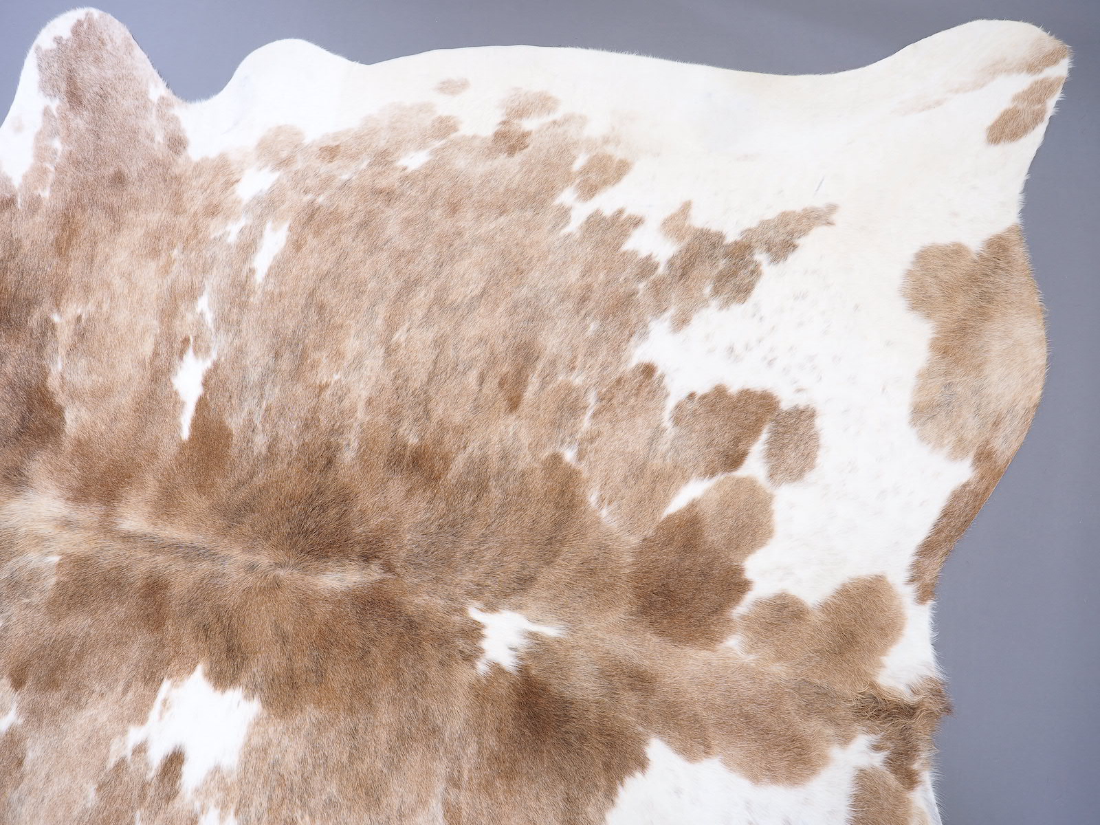 Шкура коровы натуральная бежево-белая арт.: 29477