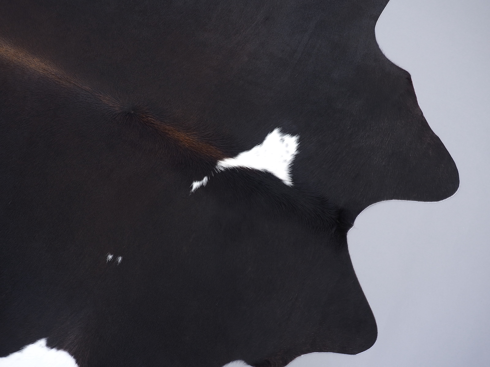 Коровья шкура натуральная черно-белая красноватая арт.: 29483
