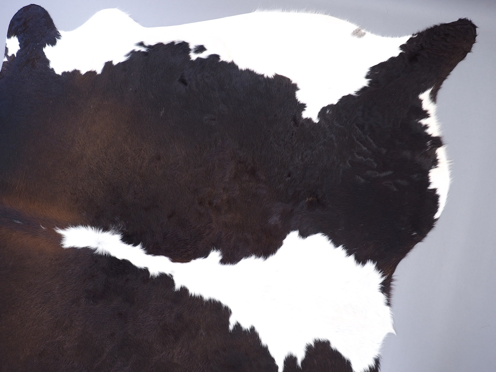 Натуральная шкура коровы черно-белая красноватая арт.: 29485