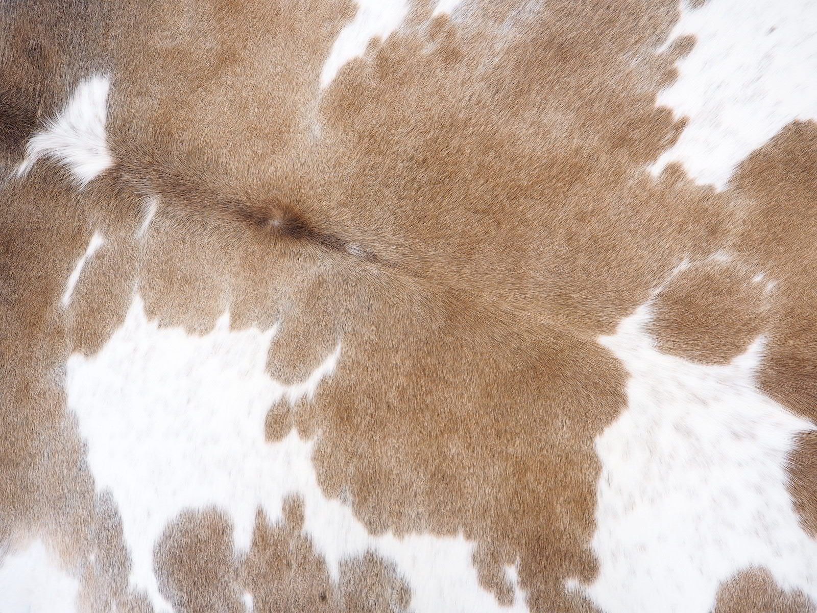 Шкура коровы натуральная серо-бежевая арт.: 29496