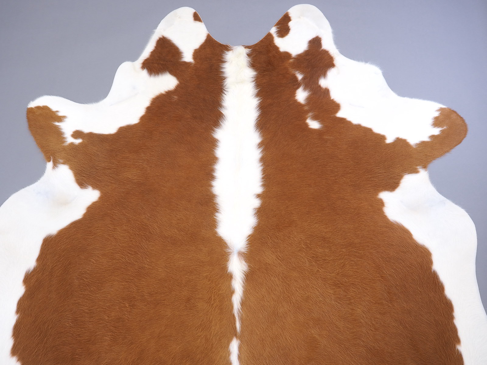 Шкура коровы натуральная Герефорд арт.: 29501