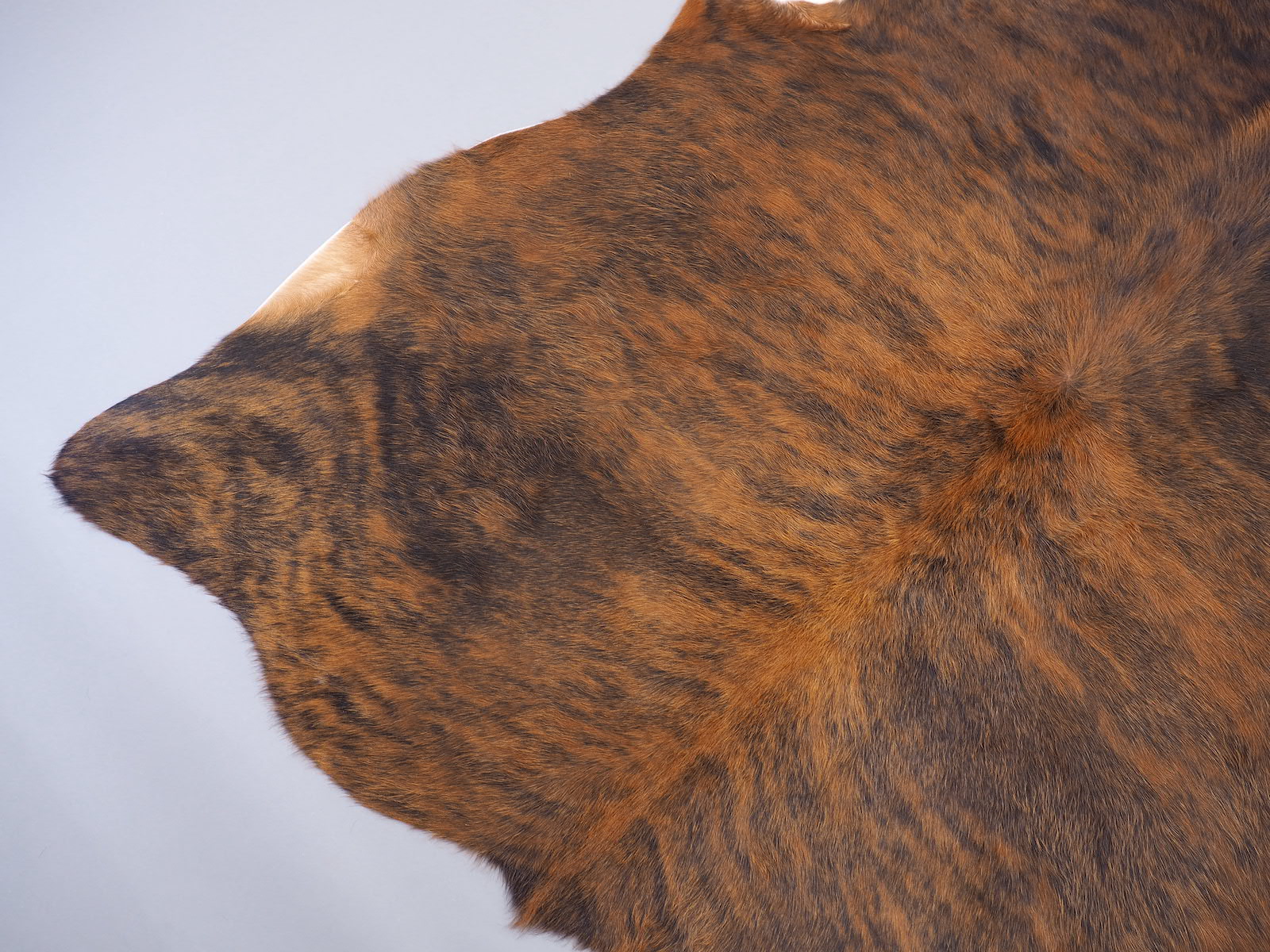 Шкура коровы натуральная темно-тигровая арт.: 29502