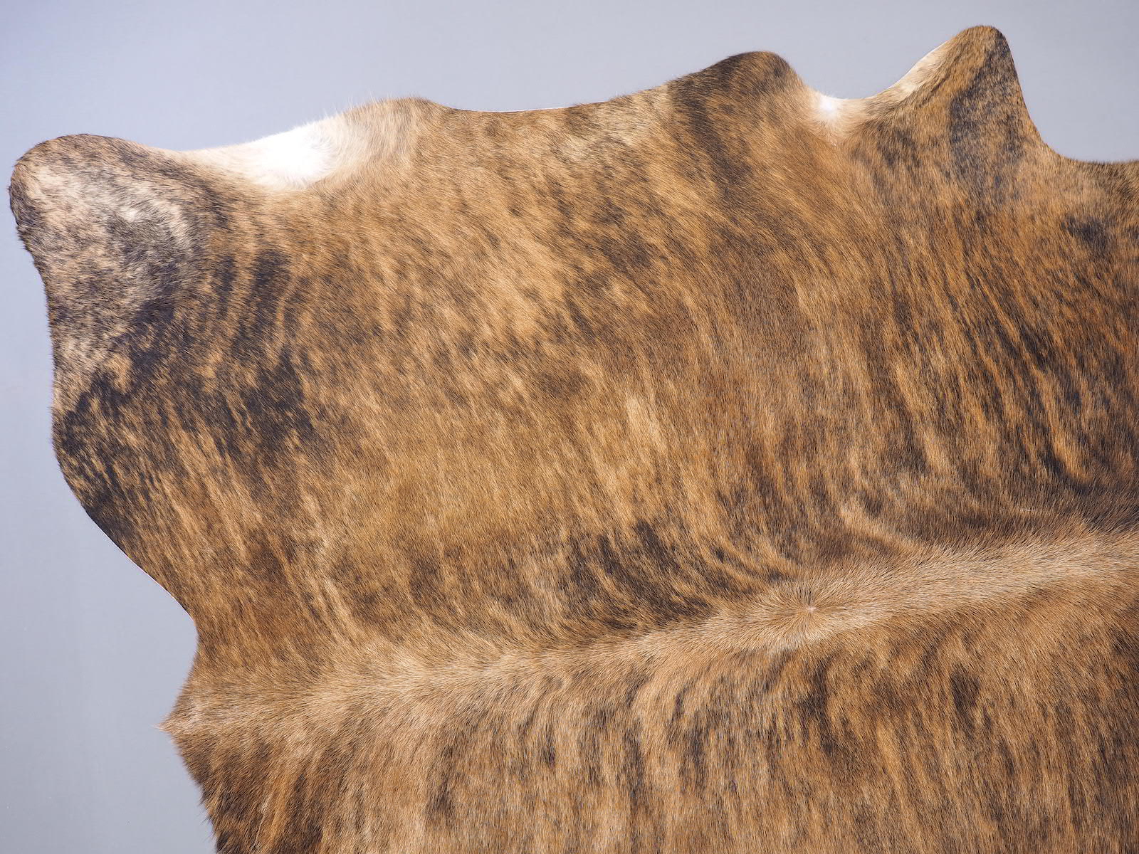 Шкура коровы натуральная пестрая тигровая арт.: 29505
