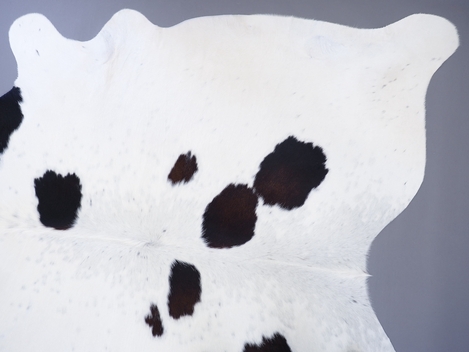 Шкура коровы натуральная черно-белая красноватая арт.: 29507